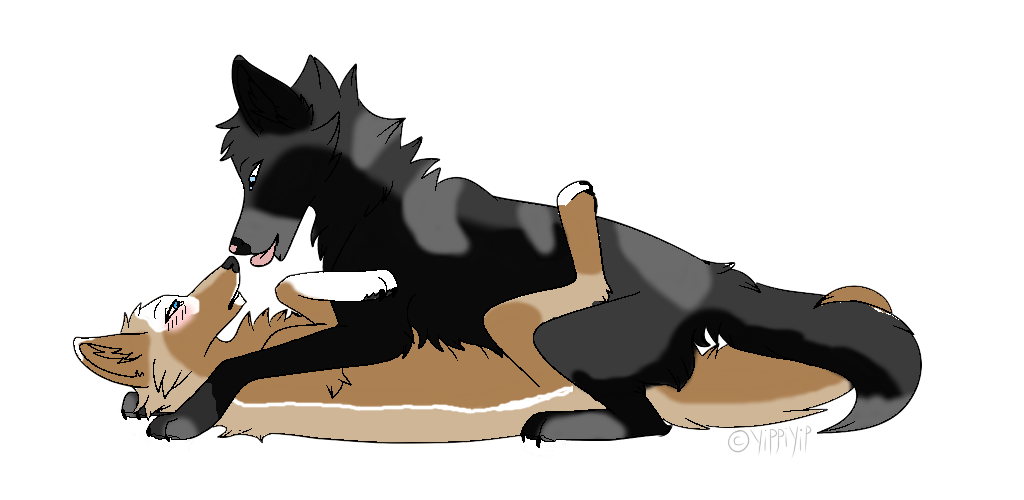 Wolf clipart couple. Animal jam drawing at