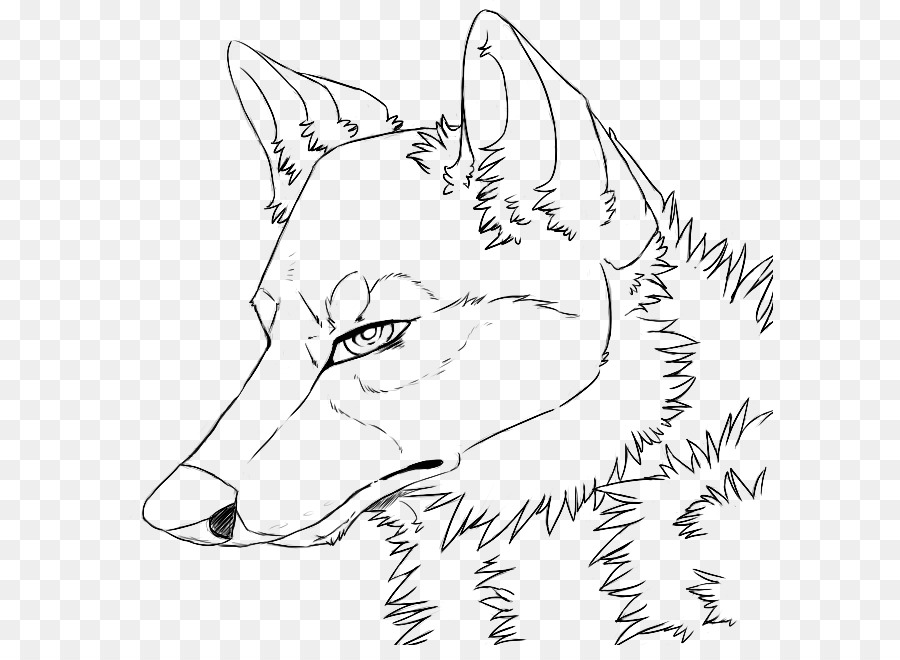 Watercolor sketch painting drawing. Wolf clipart line