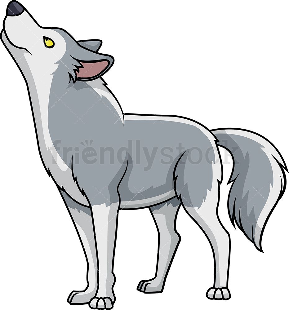 Wolf looking up in. Wolves clipart majestic