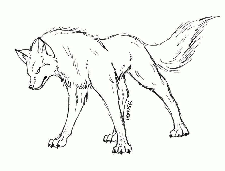 Drawings of wolves growling. Wolf clipart realistic