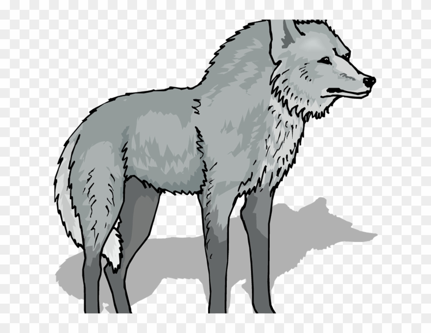 Wolf clipart wold. Free png transparent 