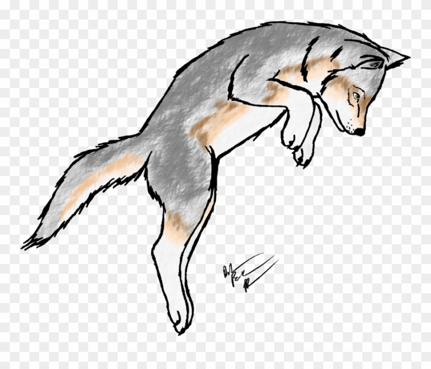 Wolf clipart wolf pup. Transparent for coloring png