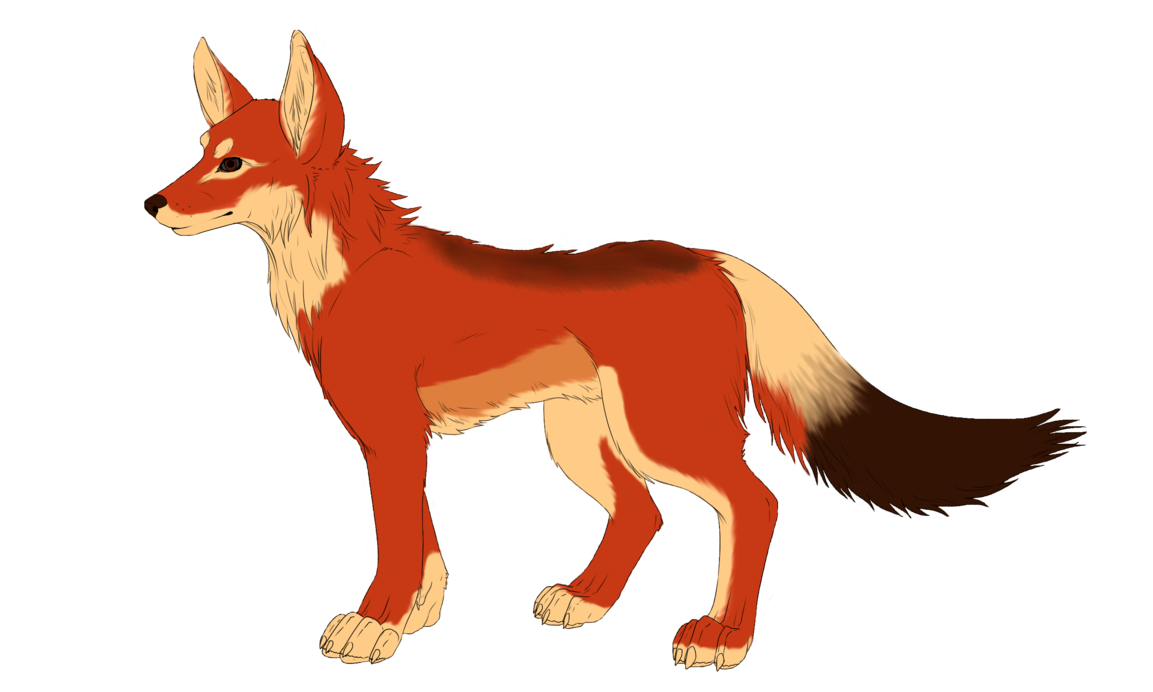 wolves clipart orange