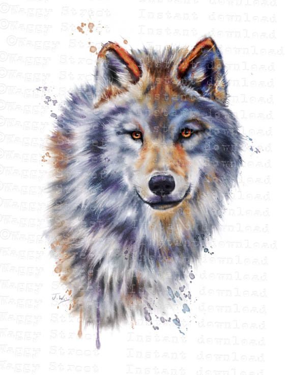 Wolves clipart watercolor. Wolf animal 