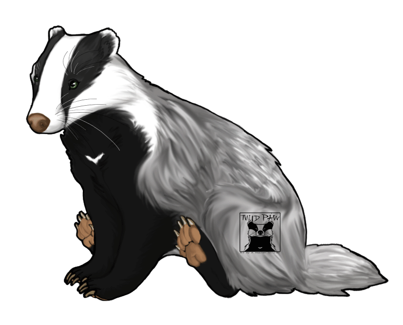 Pose by mudpaw pinterest. Woodland clipart badger
