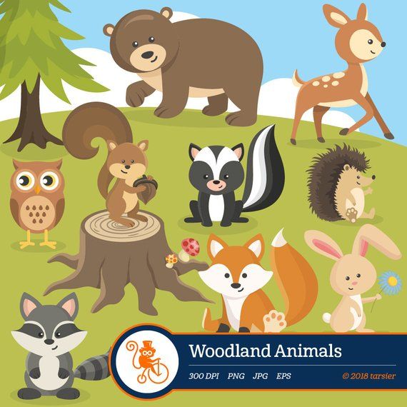 Animals clip art forest. Woodland clipart garden