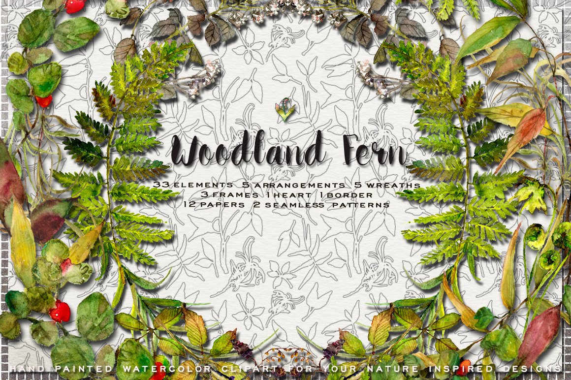 Watercolor clip art illustrations. Woodland clipart green fern