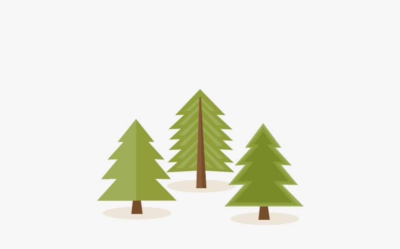 woodland clipart pine tree