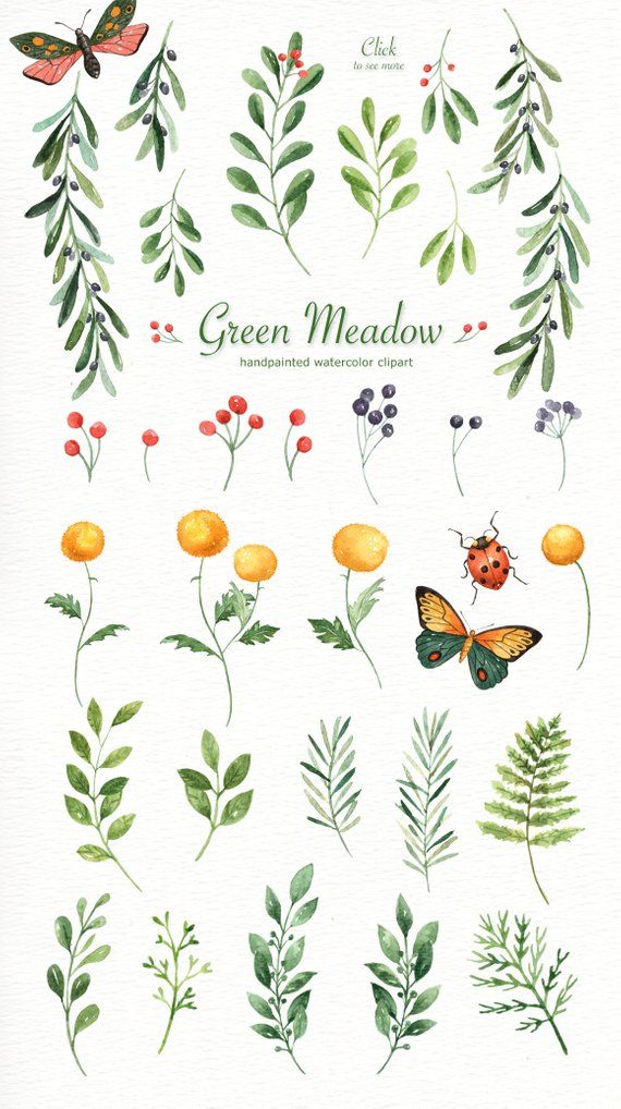 Woodland clipart plant. Green meadow watercolor leaf