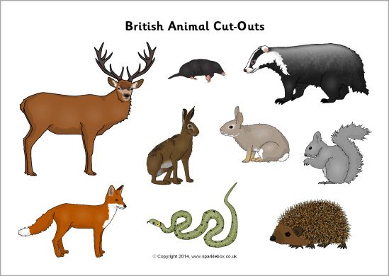 Animal cut outs sb. Woodland clipart wildlife british