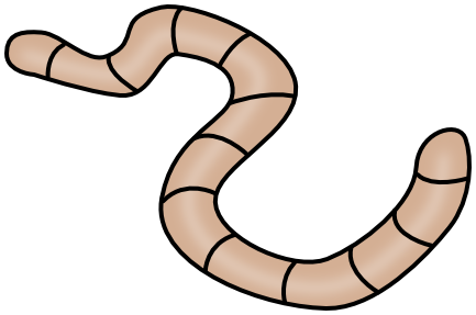 Worm clipart. Earthworm animals w png