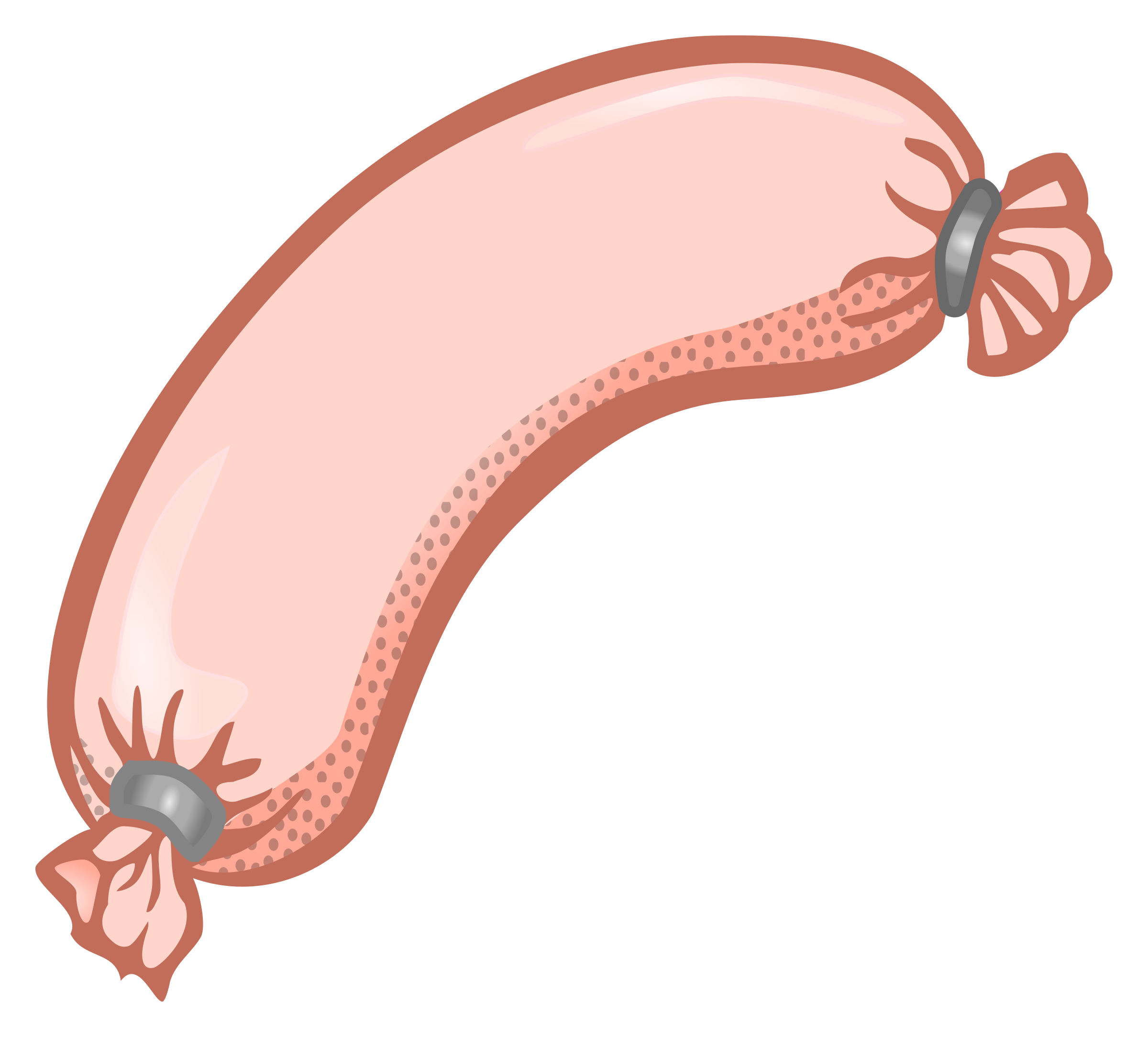 Worm clipart animal food. Sausage coloured big image
