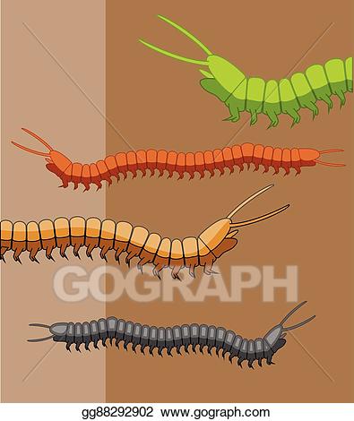 Vector stock millipede worms. Worm clipart centipede