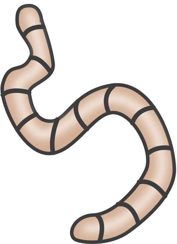 Worm clipart comic. Boa constrictor at getdrawings