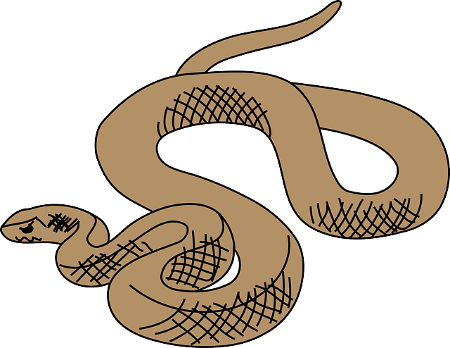 Desert clipground free pictures. Worm clipart cute snake