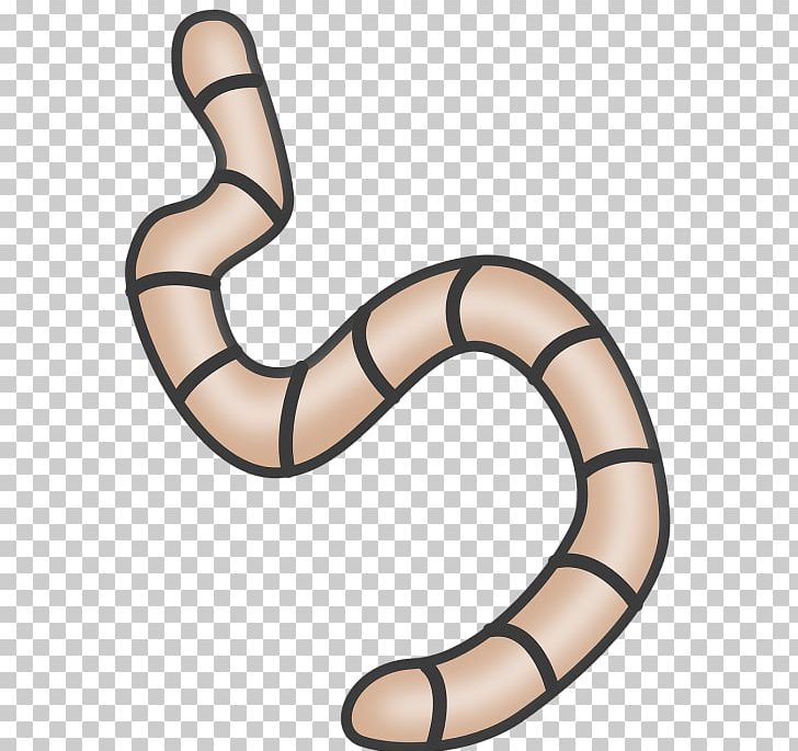 Portable network graphics free. Worm clipart decomposer