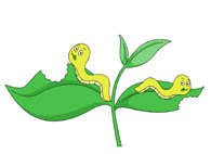 Worm clipart eating plant. Search results for worms
