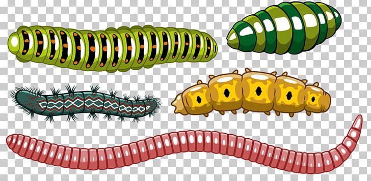 Worm clipart insect. Caterpillar euclidean png all