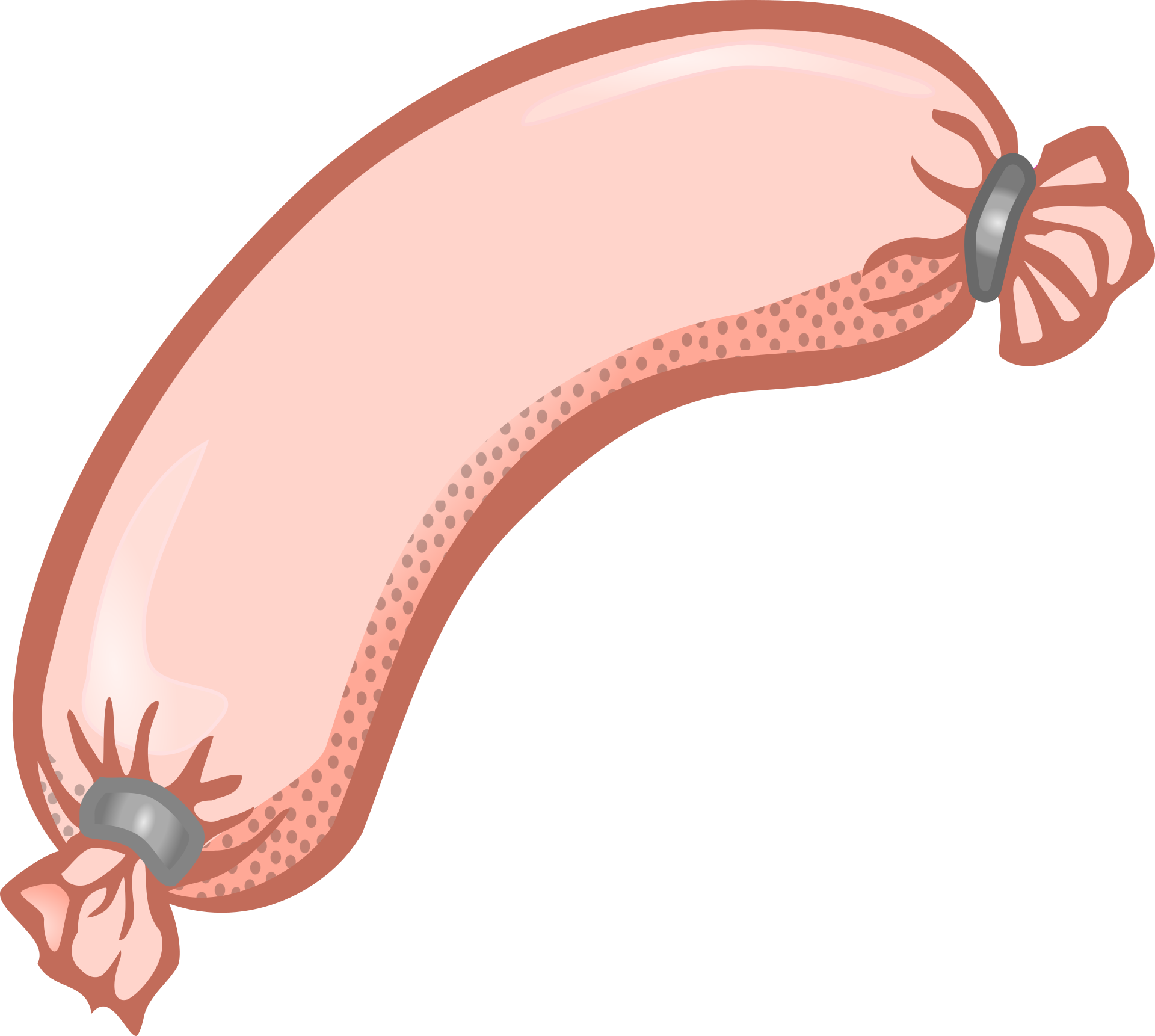 Worm clipart invertebrate. Drawing of a sausage