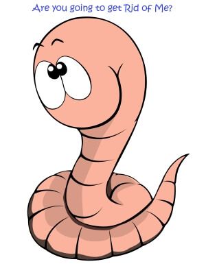Pin on health . Worm clipart parasite