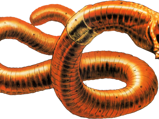Worm clipart parasite. Hd worms parasitic png