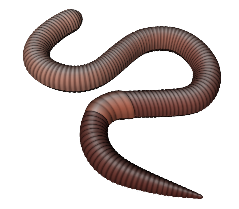 Worm clipart parasitic worm. Earthworm clip art observe