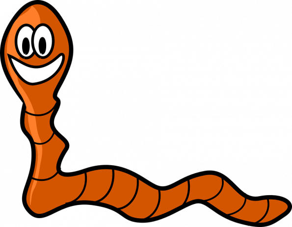 Tapeworm drawing free download. Worm clipart parasitic worm