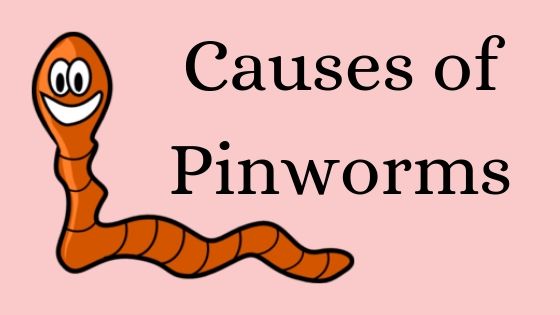 Worm clipart pinworm. How to get rid
