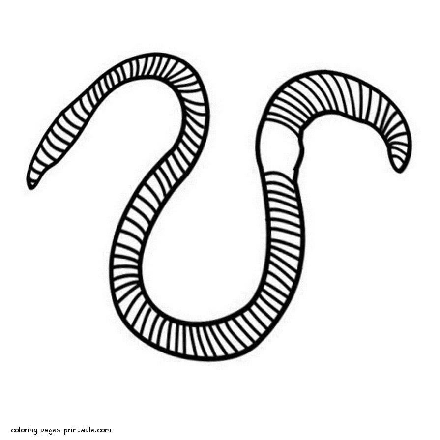 Coloring pages collection of. Worm clipart printable