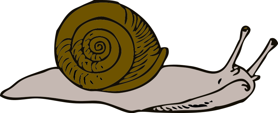 Snail clip art cartoon. Worm clipart realistic