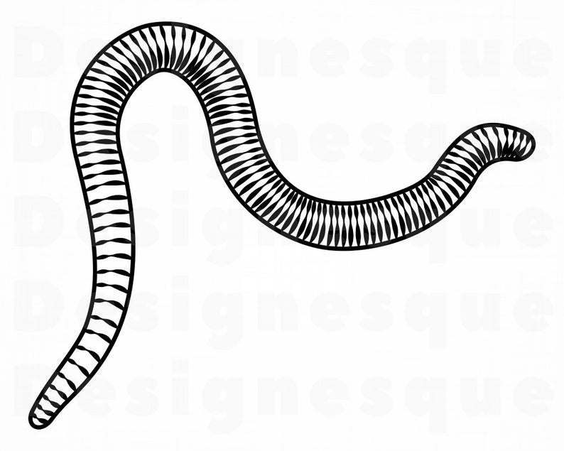 Svg maggot files for. Worm clipart ring worm