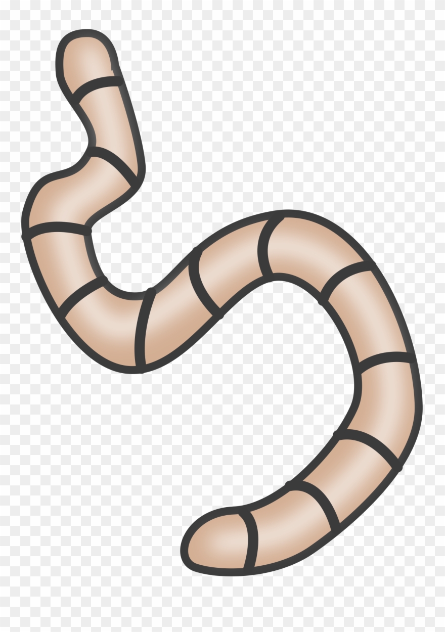 Worm clipart transparent background. Png download 