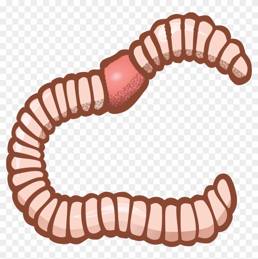 Worms x free clip. Worm clipart transparent background
