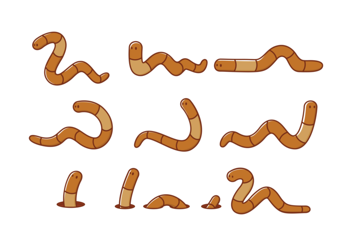 Worm clipart underground. Earth clip art collection