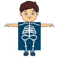 Bone clipart kid. Free x ray cliparts
