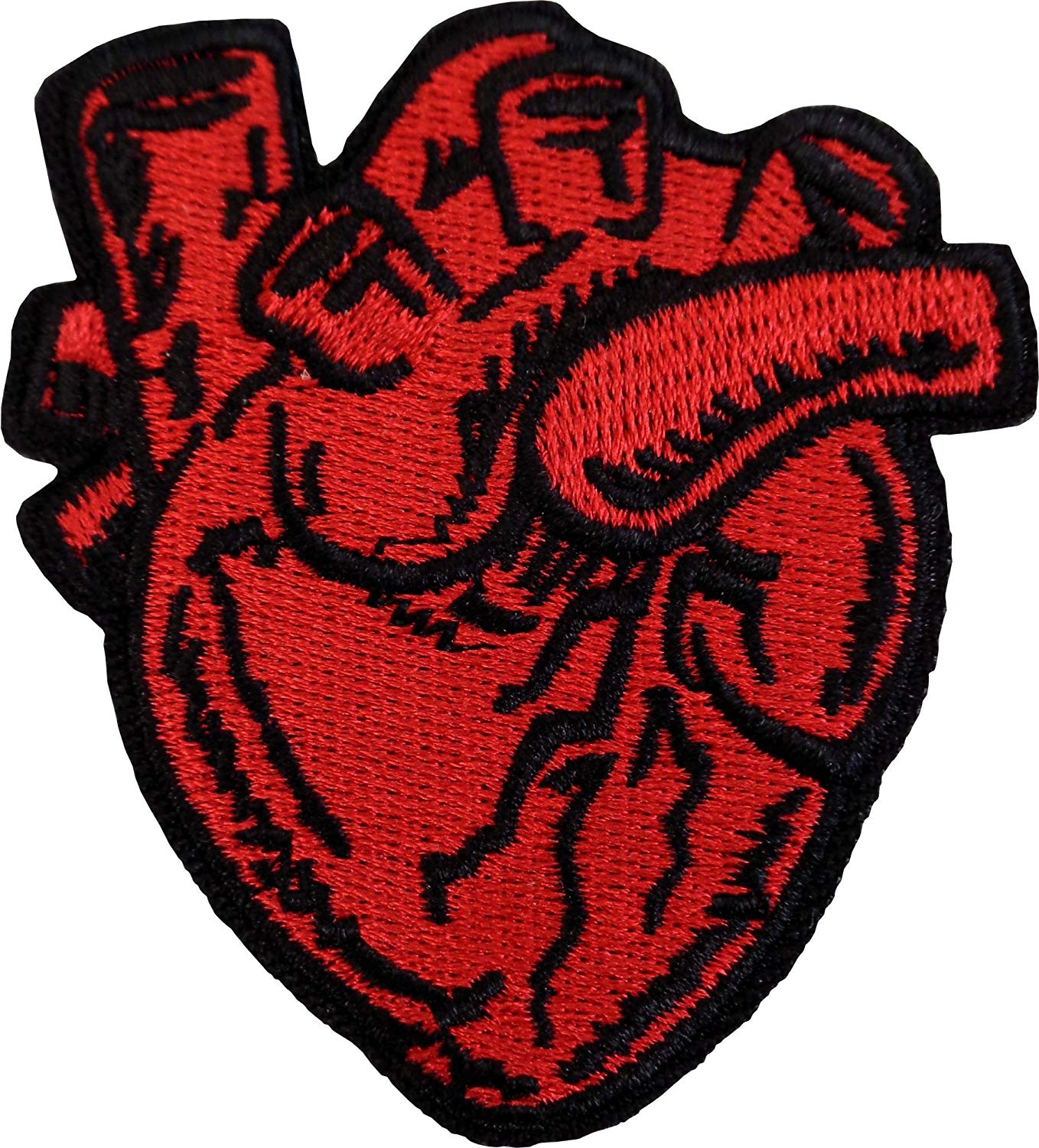 xray clipart heart
