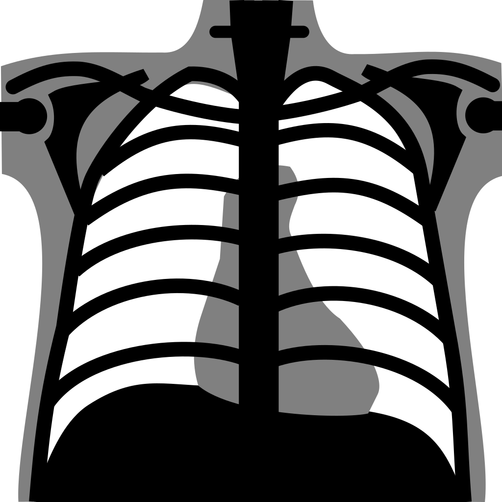 Xray clipart skeleton rib cage.  collection of chest