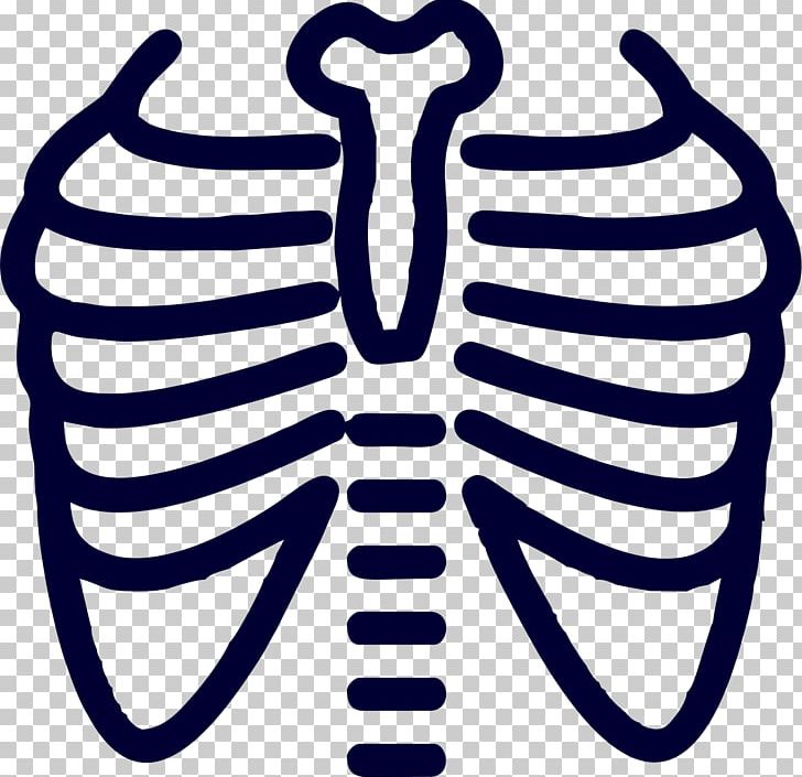 X ray chest radiograph. Xray clipart thorax