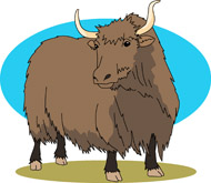 Free clip art pictures. Yak clipart