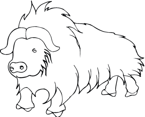 From himalayan free printable. Yak clipart coloring page