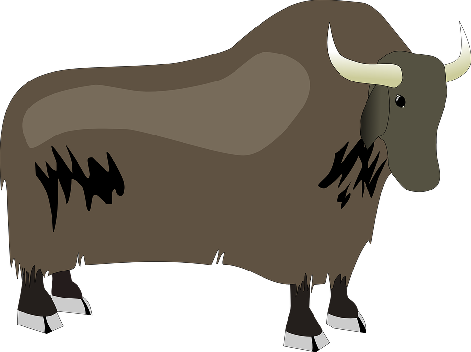 Yak clipart hairy animal. Bull free for download