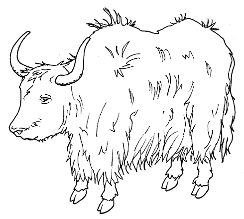 Free cliparts download clip. Yak clipart outline