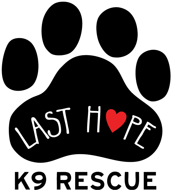 Petstablished hope k rescue. Yearbook clipart last chance