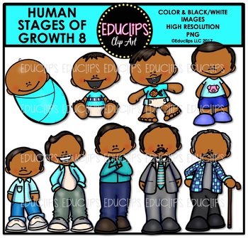 Stages of growth hispanic. Young clipart human baby