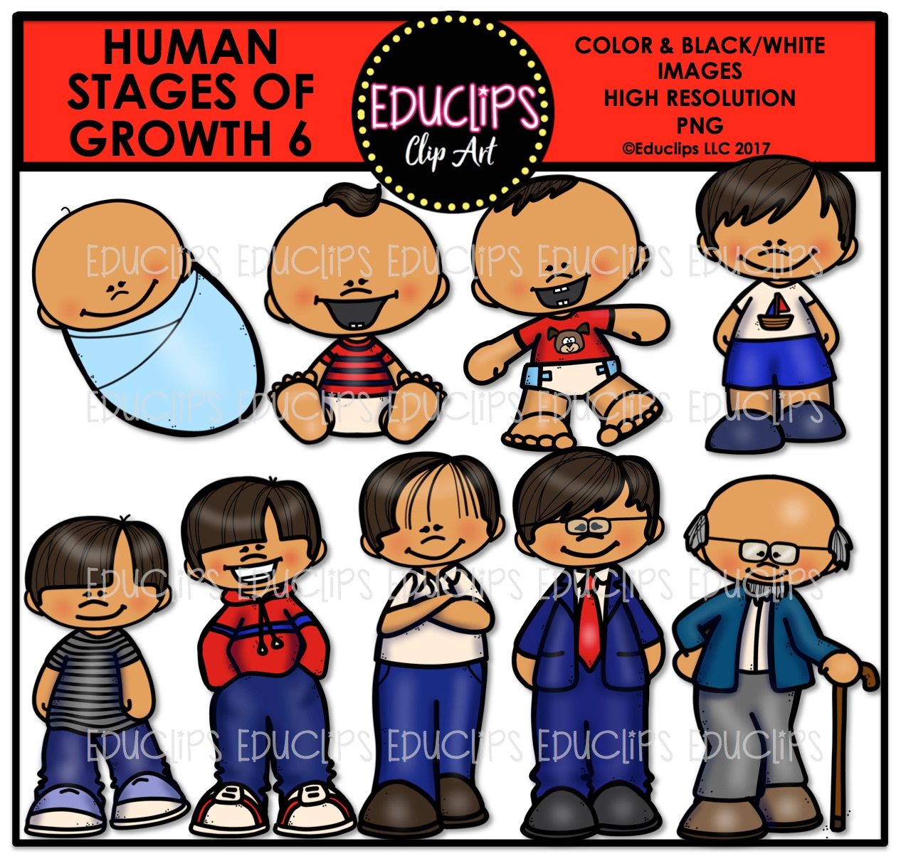 Stages of growth asian. Young clipart human baby