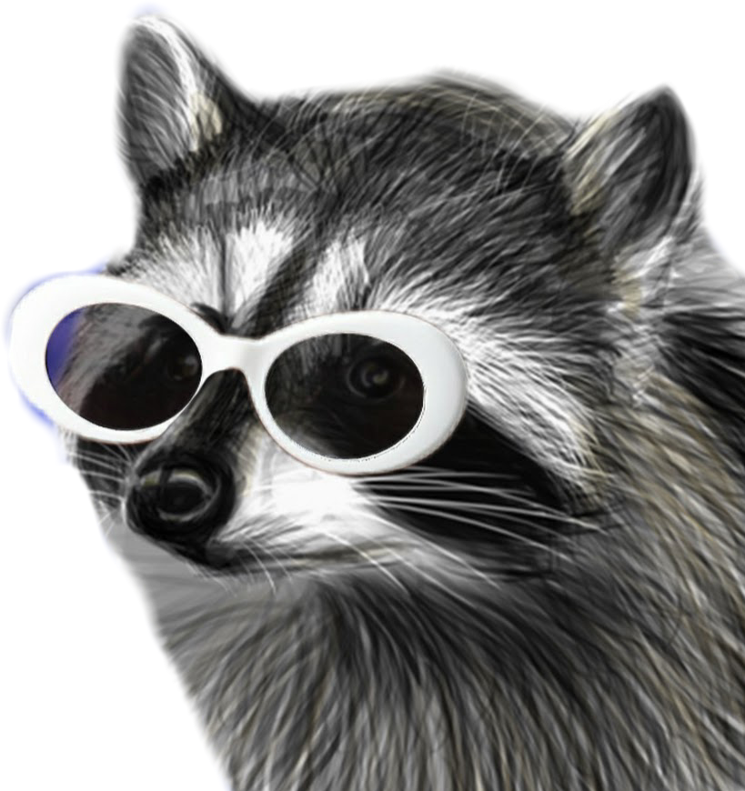Youtube clipart cs go. Raccooneggs raccoons csgo profile