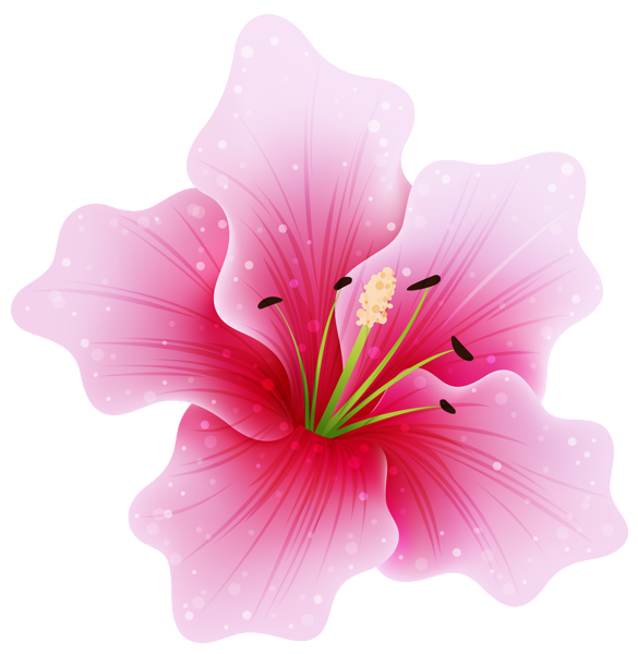 Pink flower png by. Youtube clipart floral