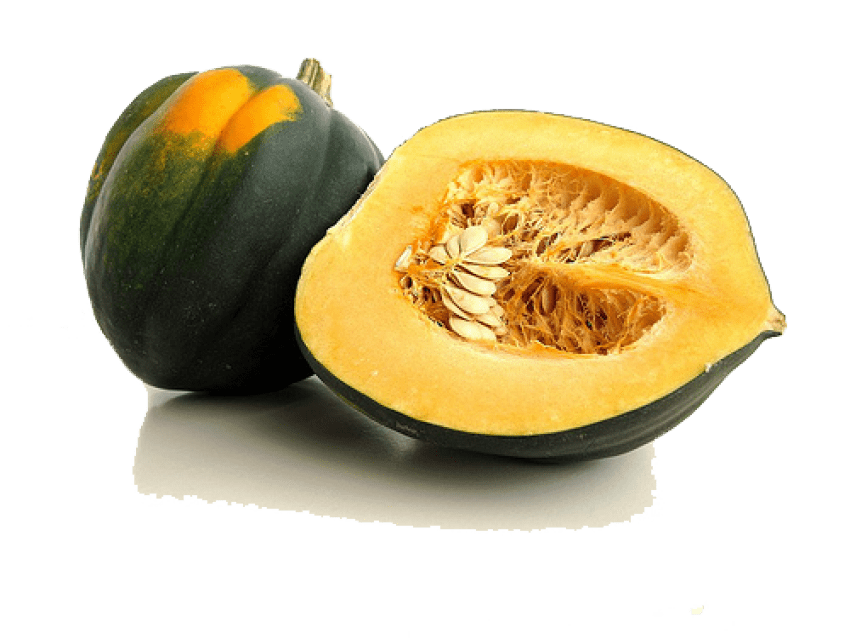 Png free images toppng. Zucchini clipart acorn squash