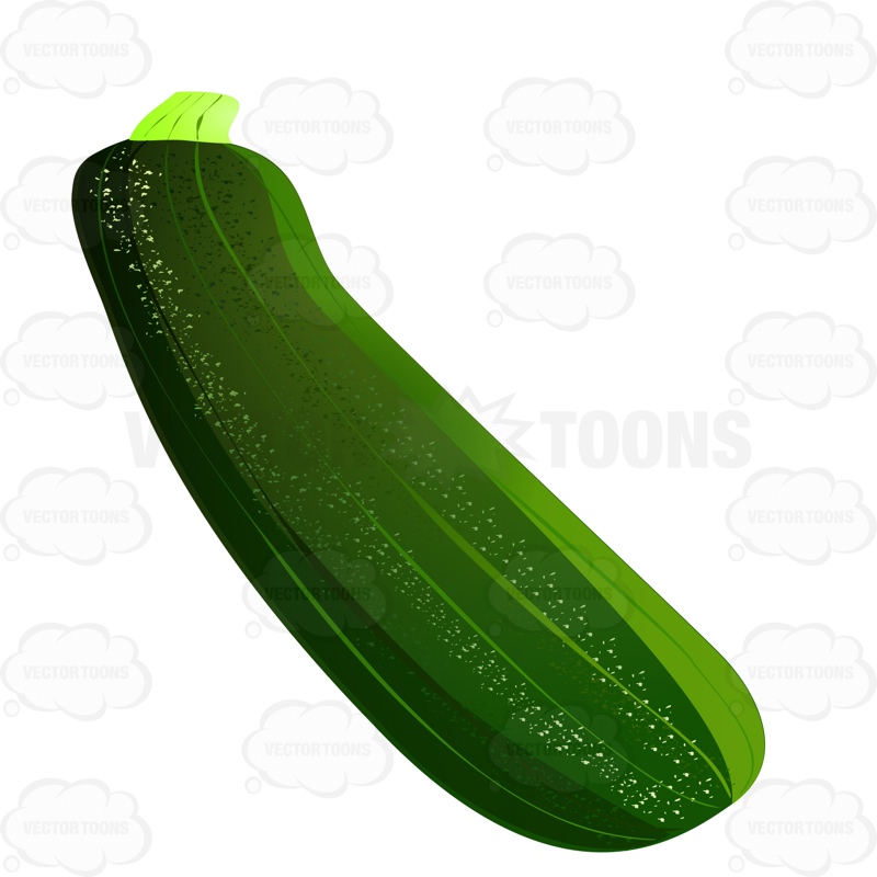 Free download best on. Zucchini clipart animated