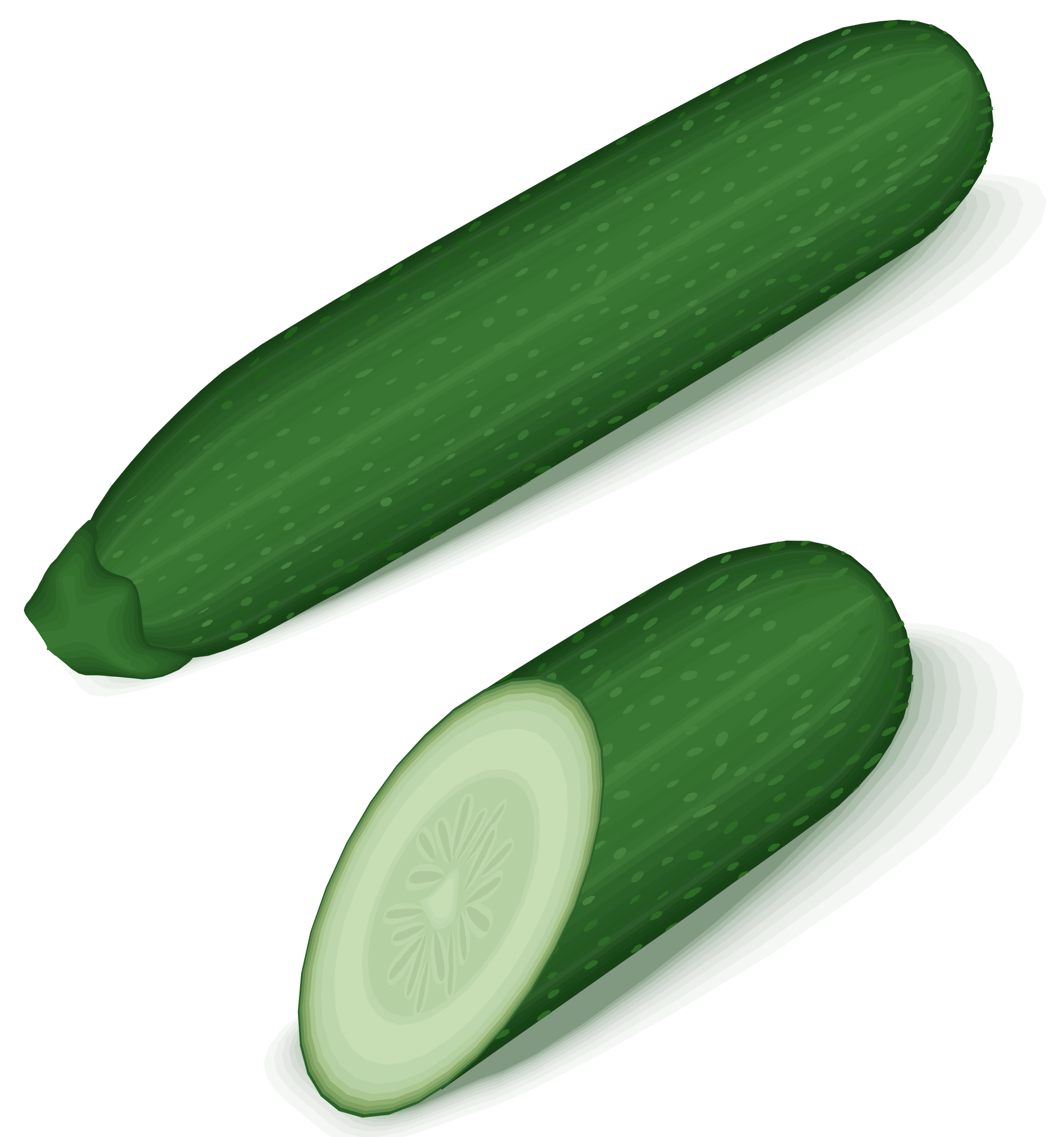 Zucchini clipart clip art. File green svg wikimedia